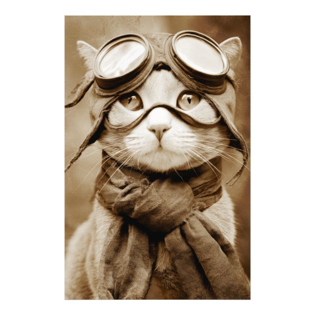 Photo Écharpe Chat Lunettes Vintage Impression Rétro (Devant)