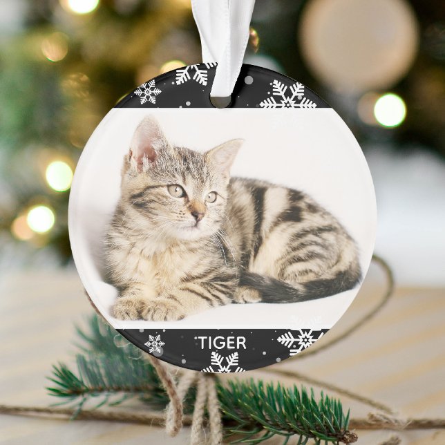 Photo et nom de 2 animaux de Noël Chat de Noël (Créateur téléchargé)