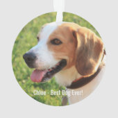 Photo et nom du chien Beagle personnalisé (dos)