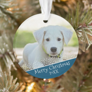 Photo Fête de Noël pour animaux familiers