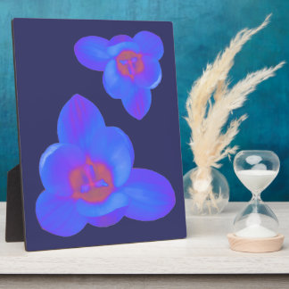 Photo Fleur de crocus Plaque chaude et froide