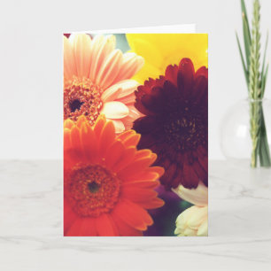 Photo Fleur de marguerite Vibrant ou carte de voeu