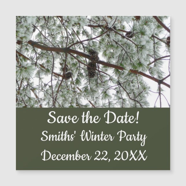 Photo hivernale sous le pin couvert de neige (Devant)