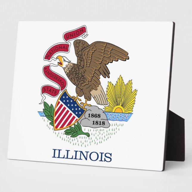Photo Illinois State Flag Plaque (Côté)
