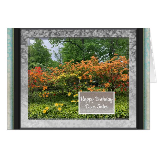 Photo Images de la carte d'anniversaire Soeur (Devant horizontal)