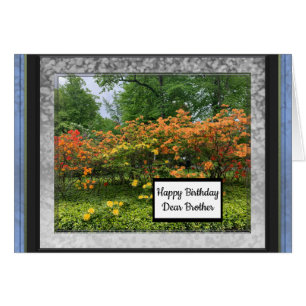 Photo Images for Dear Brother Birthday Card