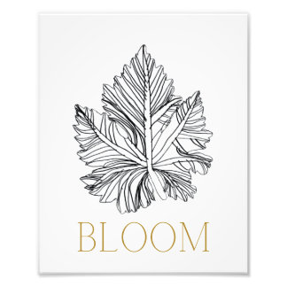 Photo Impression BLOOM