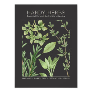 Photo Impression botanique d'herbes robustes