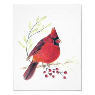Photo Impression Cardinal Watercolor
