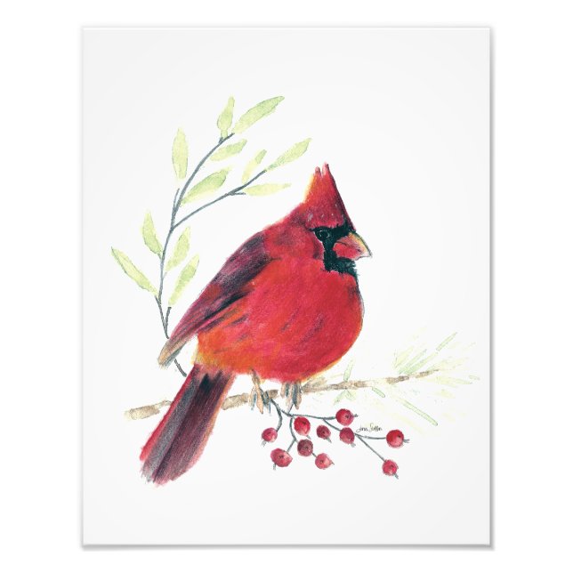 Photo Impression Cardinal Watercolor (Devant)