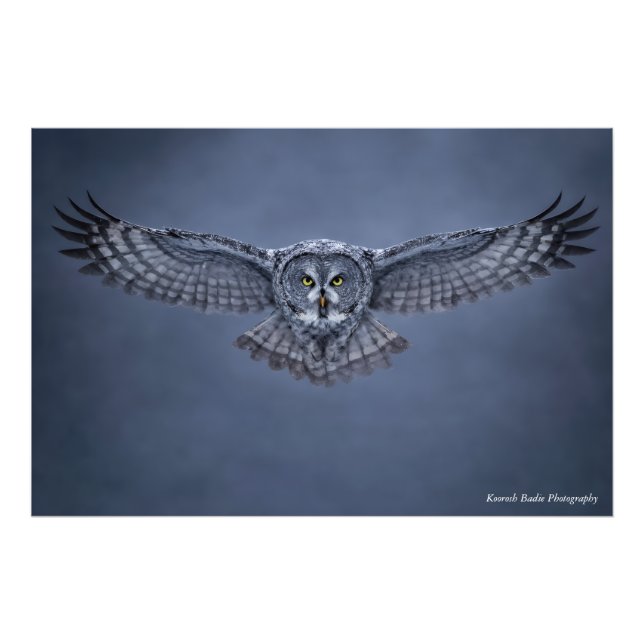 Photo Impression d'art de la faune de la grande chouette (Devant)
