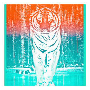 Photo Impression d'art tigre