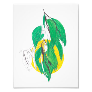 Photo Impression de branche d'eucalyptus