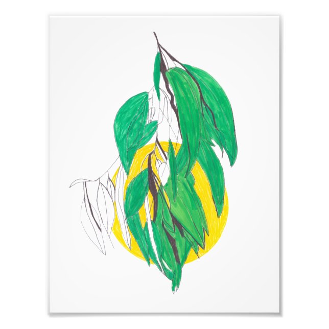 Photo Impression de branche d'eucalyptus (Devant)