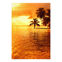 Impression de coucher de soleil de palmier horizon