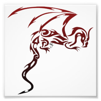 Photo Impression de dragon