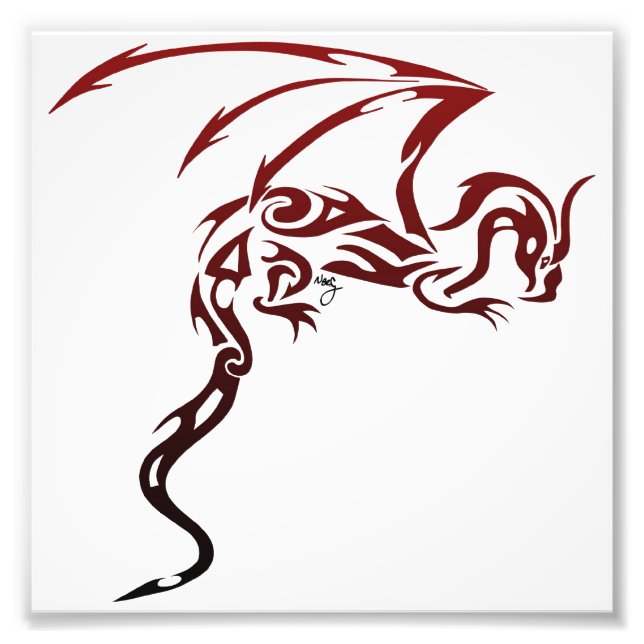 Photo Impression de dragon (Devant)