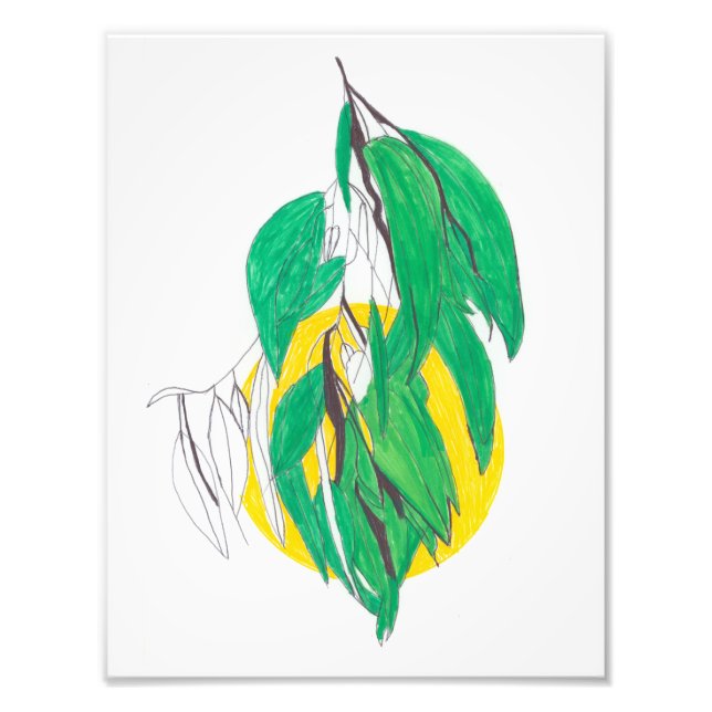 Photo Impression de feuille d'eucalyptus (Devant)