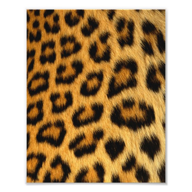 Photo Impression de fourrure Leopard (Devant)