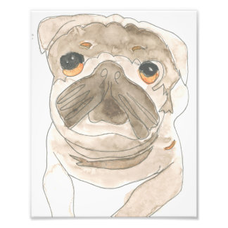 Photo Impression de la pression de zues