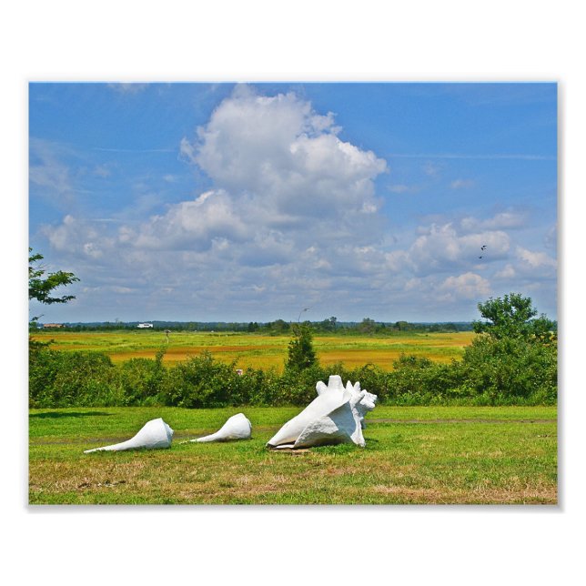 Photo Impression de la sculpture Sea Shell (Devant)