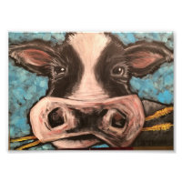 Impression de la vache noire