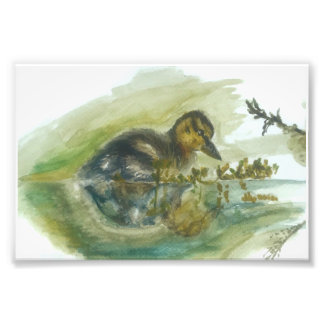 Photo Impression de l'aquarelle à canettes