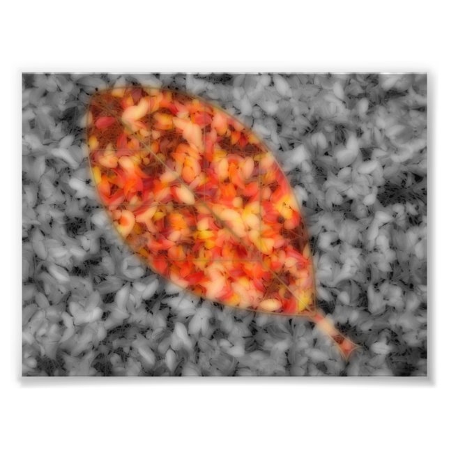 Photo Impression de photos d'ombres vives (Devant)