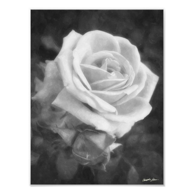 Photo Impression de Rose lumineux monochrome (Devant)