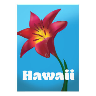 Photo Impression de voyage de fleur d'Hawaii