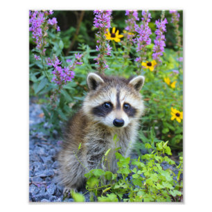 Photo Impression délicate