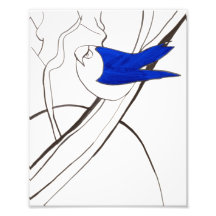 Impression d'oiseaux bleus