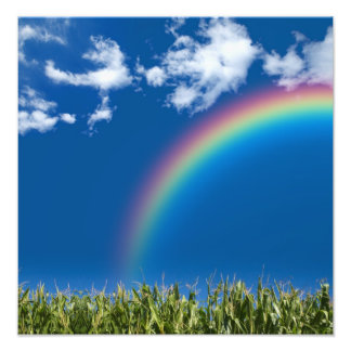 Photo Impression du mur Rainbow été