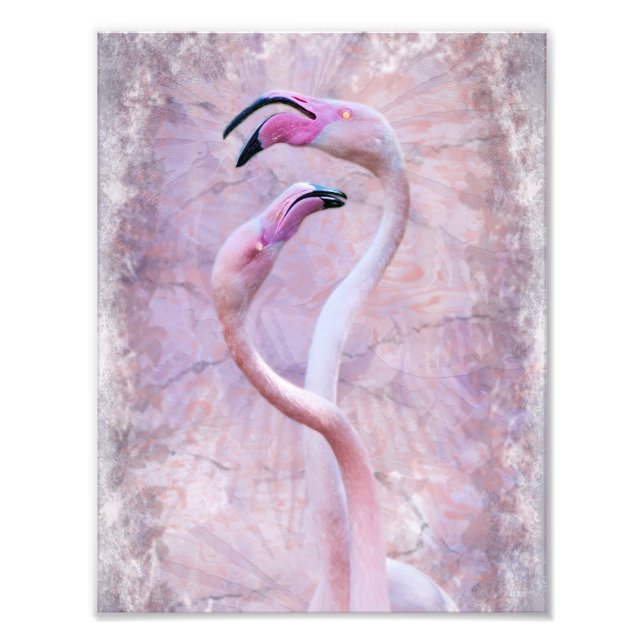 Photo Impression flamenco (Devant)