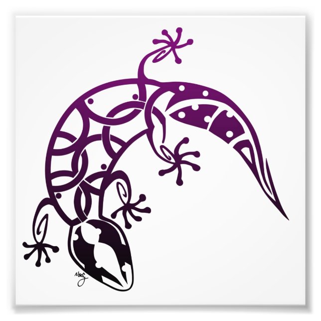 Photo Impression Gecko (Devant)