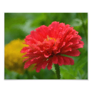 Photo Impression impressionniste de Zinnia