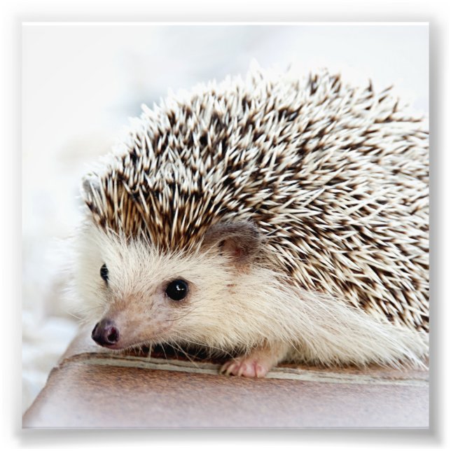 Photo Impression personnalisée (Devant)