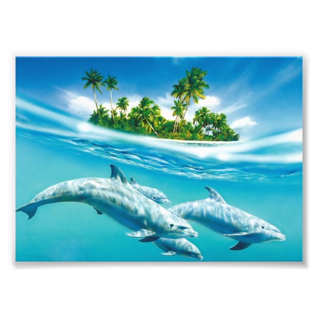 Photo Impression photographique-Dauphins (Devant)