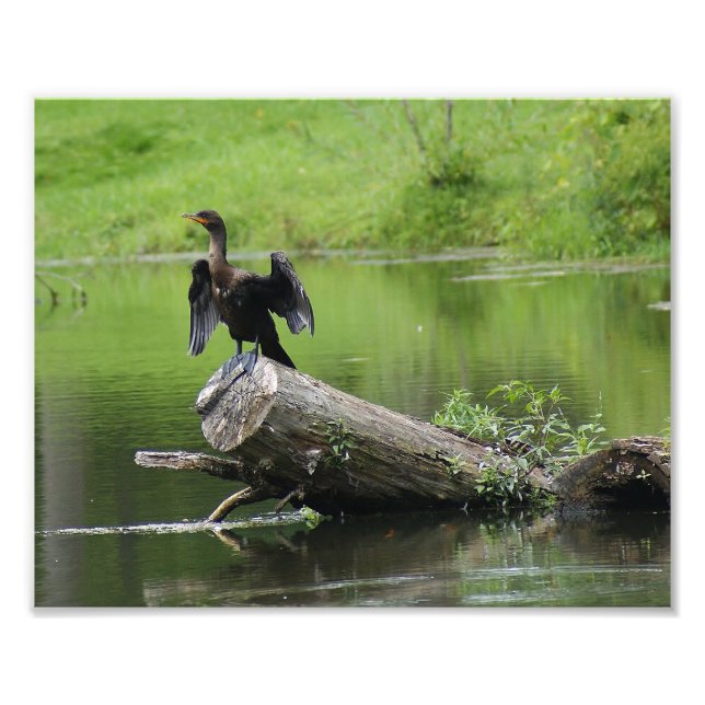 Photo Impression photographique en nature 10 x 8 (Devant)