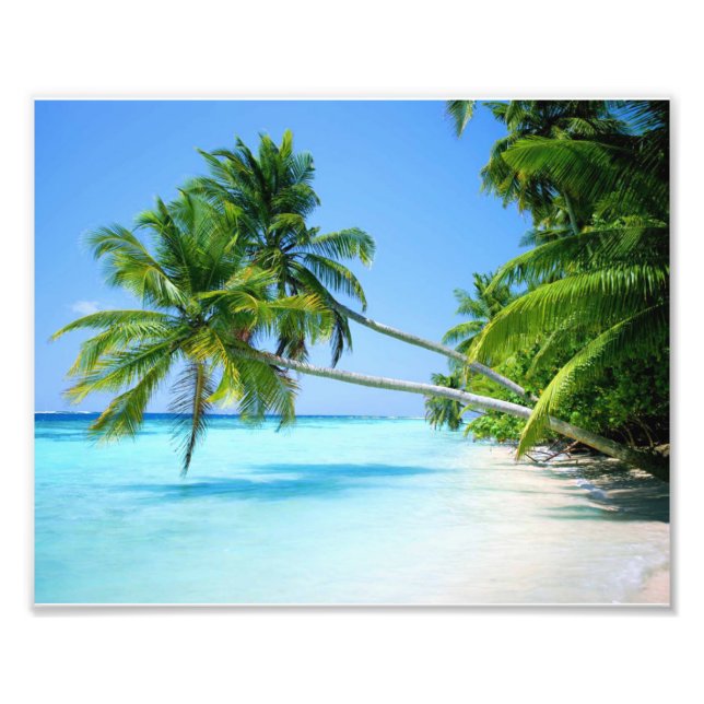 Photo Impression photographique-Plage tropicale (Devant)