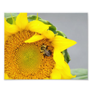Photo Impression photographique-Tournesol avec abeille