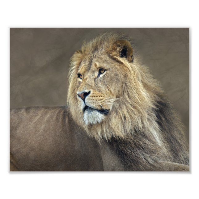 Photo Impression Sphinx (Devant)