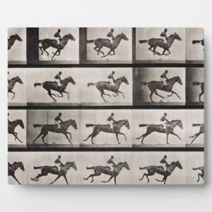 Photo Jockey sur un cheval galopant, plaque 627 de 'Anim