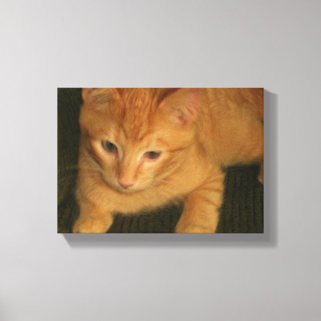 Photo Kitty sur Toile (Recto)