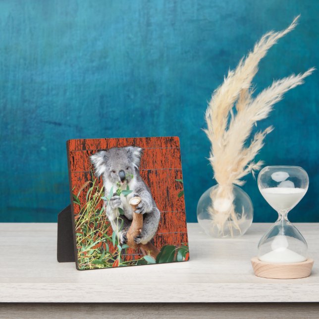 Photo Koala Snack Time Table Top Plaque (Insitu)
