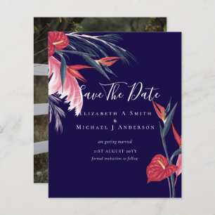 PHOTO LA MOINS CHÈRE Enregistrer Dates Pampas Gras