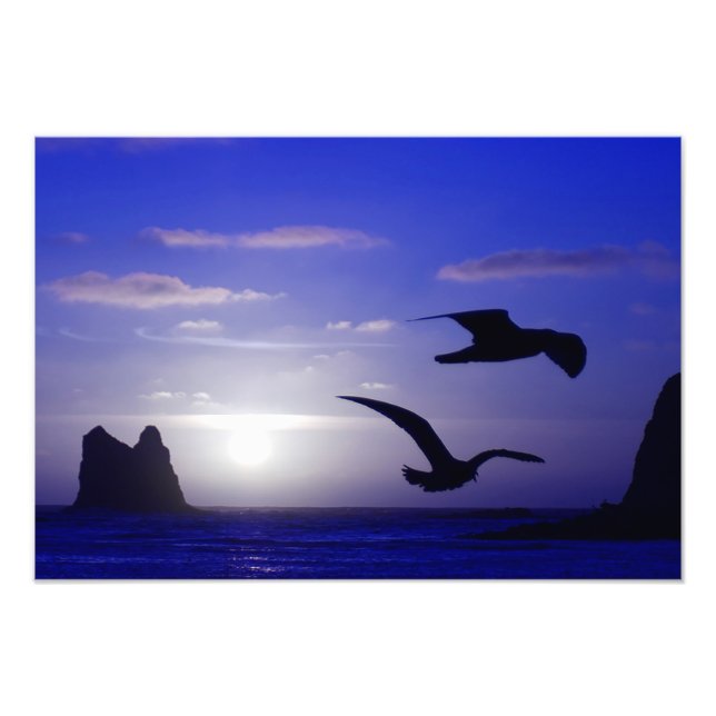 photo "le double oiseau blues" (Devant)