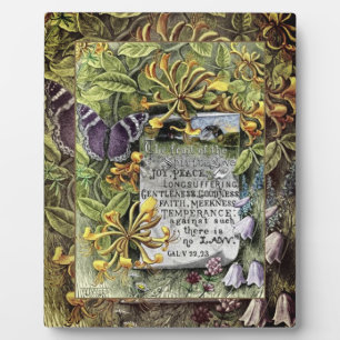 Photo Le Fruit De La Plaque Spirit