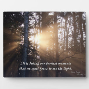 Photo Lever de soleil au-delà de la Plaque des arbres