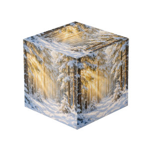 Photo Lumière dorée   Cube de forêt hivernale picturale